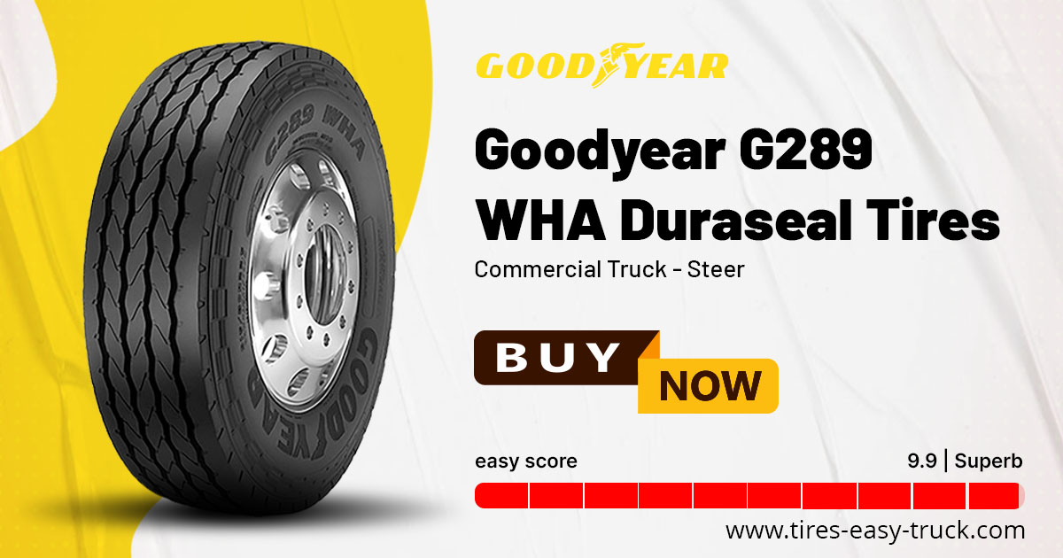 Goodyear's G289 WHA Duraseal Tires